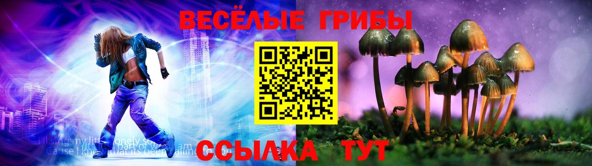 Избербаш  Галлюциногенные грибы Cubensis  Вход с VPN  Галлюциногенные грибы мицелий 